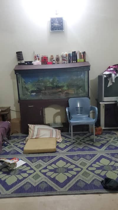 Fish Aquarium