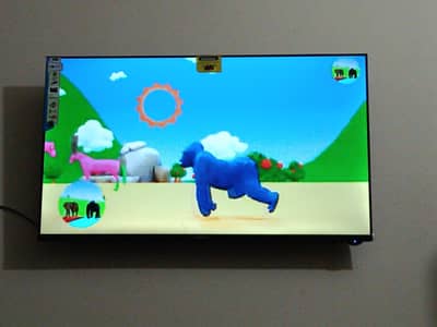 Sony led
