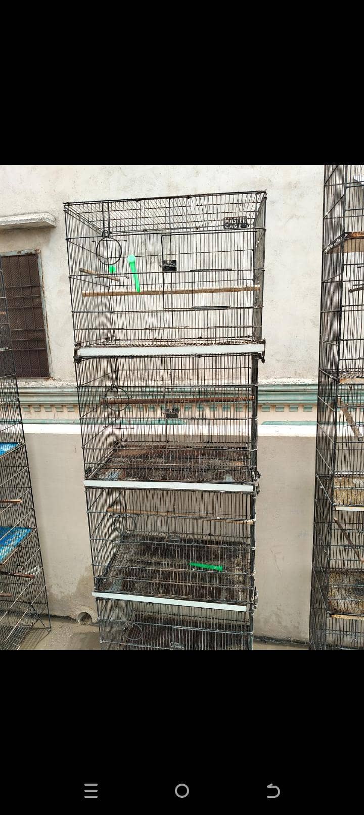 cages 1