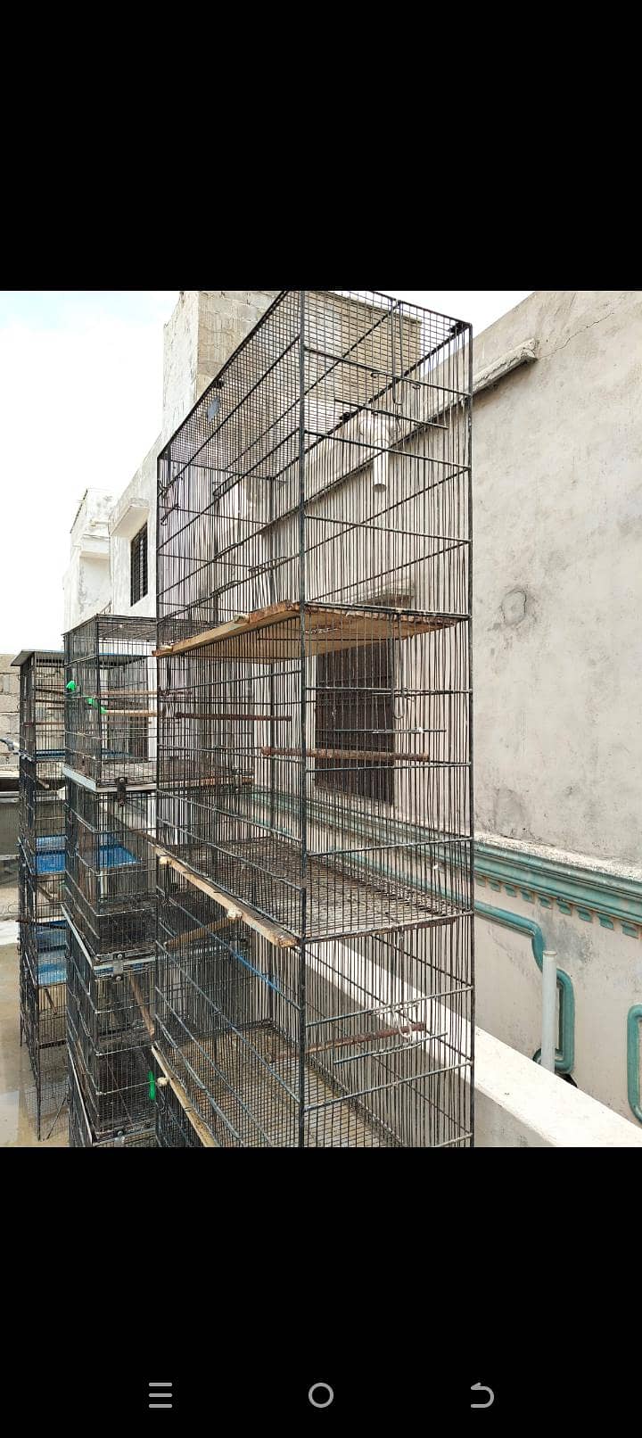 cages 2