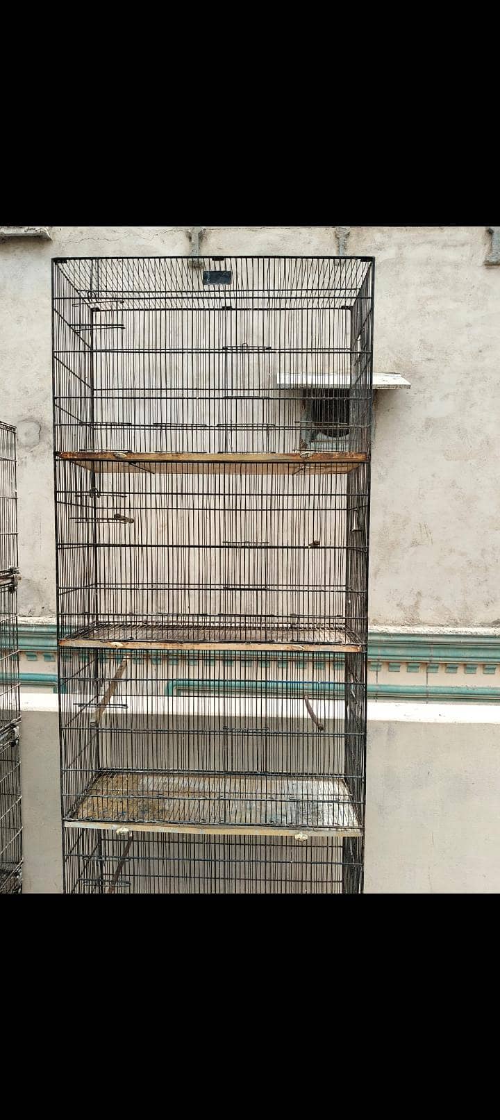cages 3