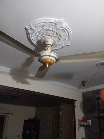 ceiling fan five