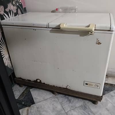 for sale