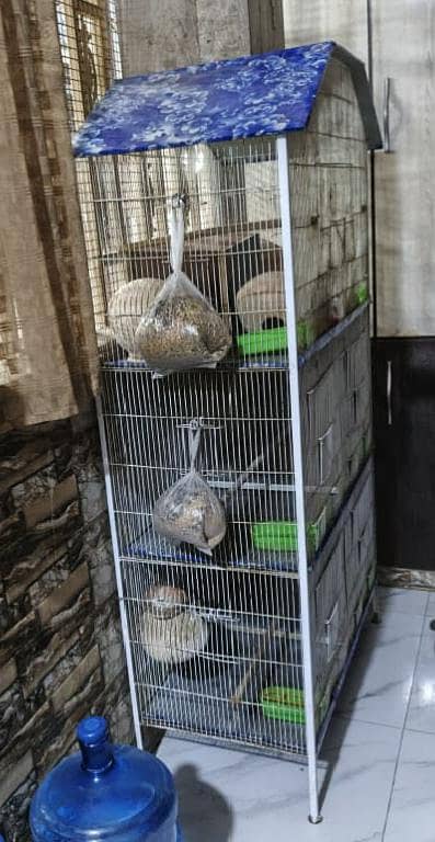 Cage for Perrot with 2 Boxes