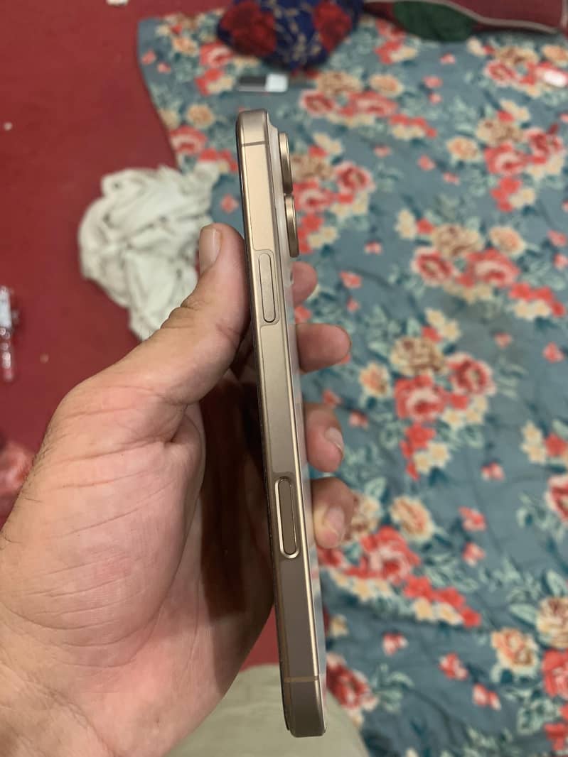 Apple iPhone 16 Pro Max 1