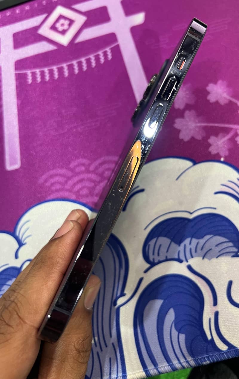 Apple iPhone 14 Pro Max 10