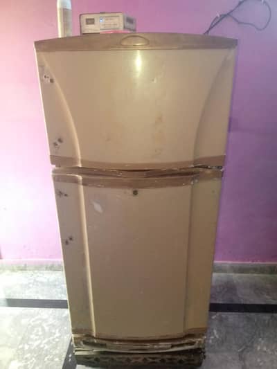 Pel medium refrigerator for sale Colling A1