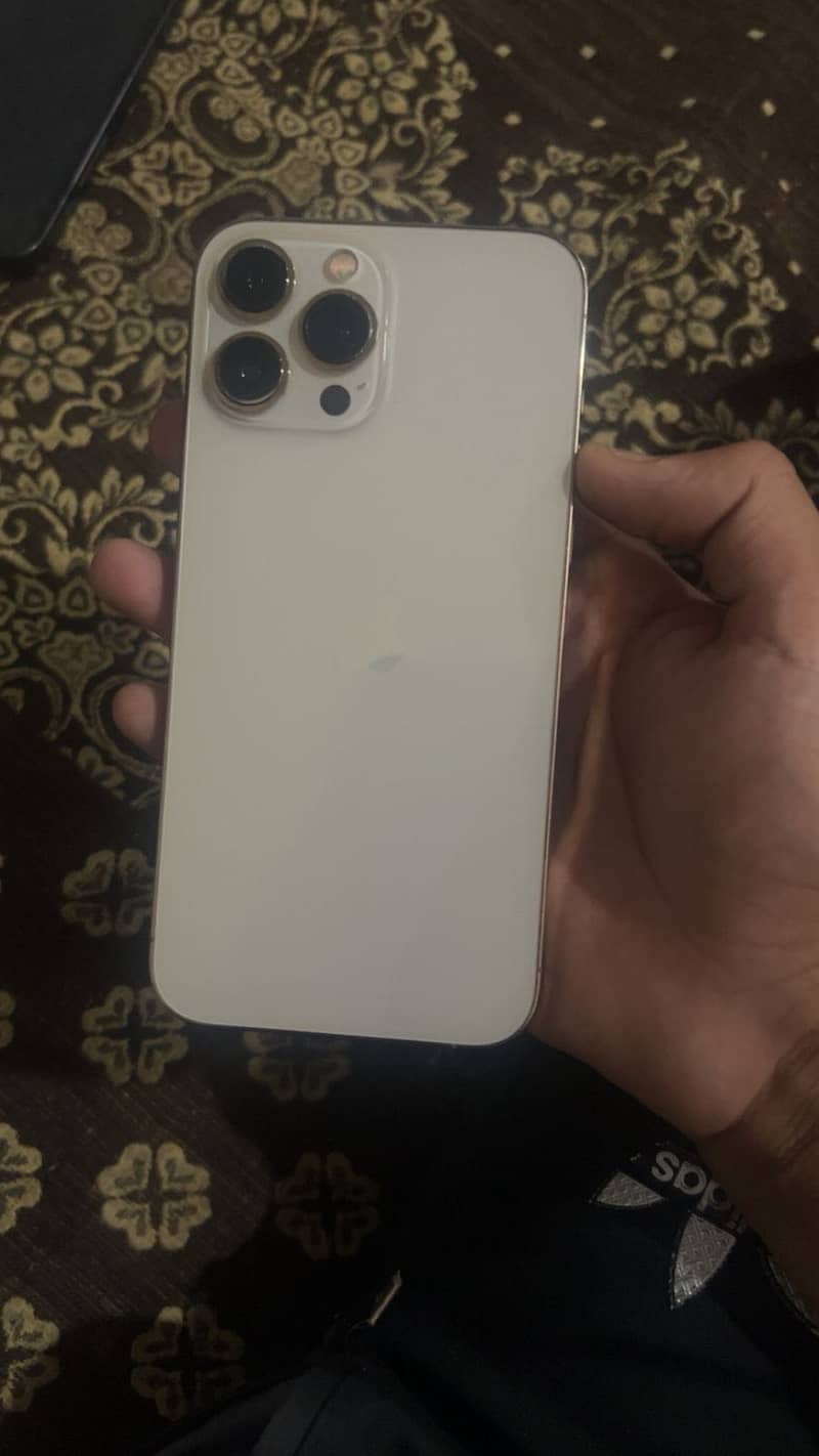 Apple iPhone 13 Pro Max 2