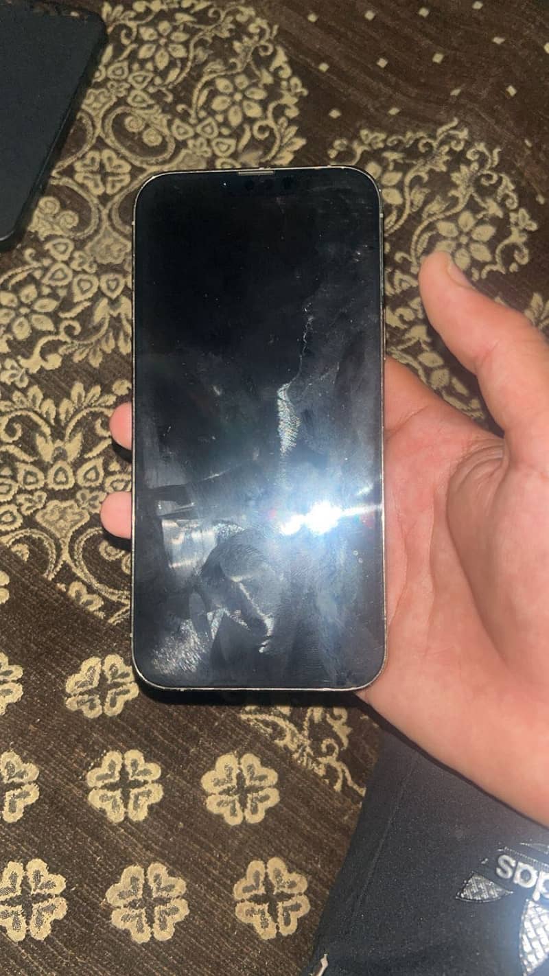 Apple iPhone 13 Pro Max 3
