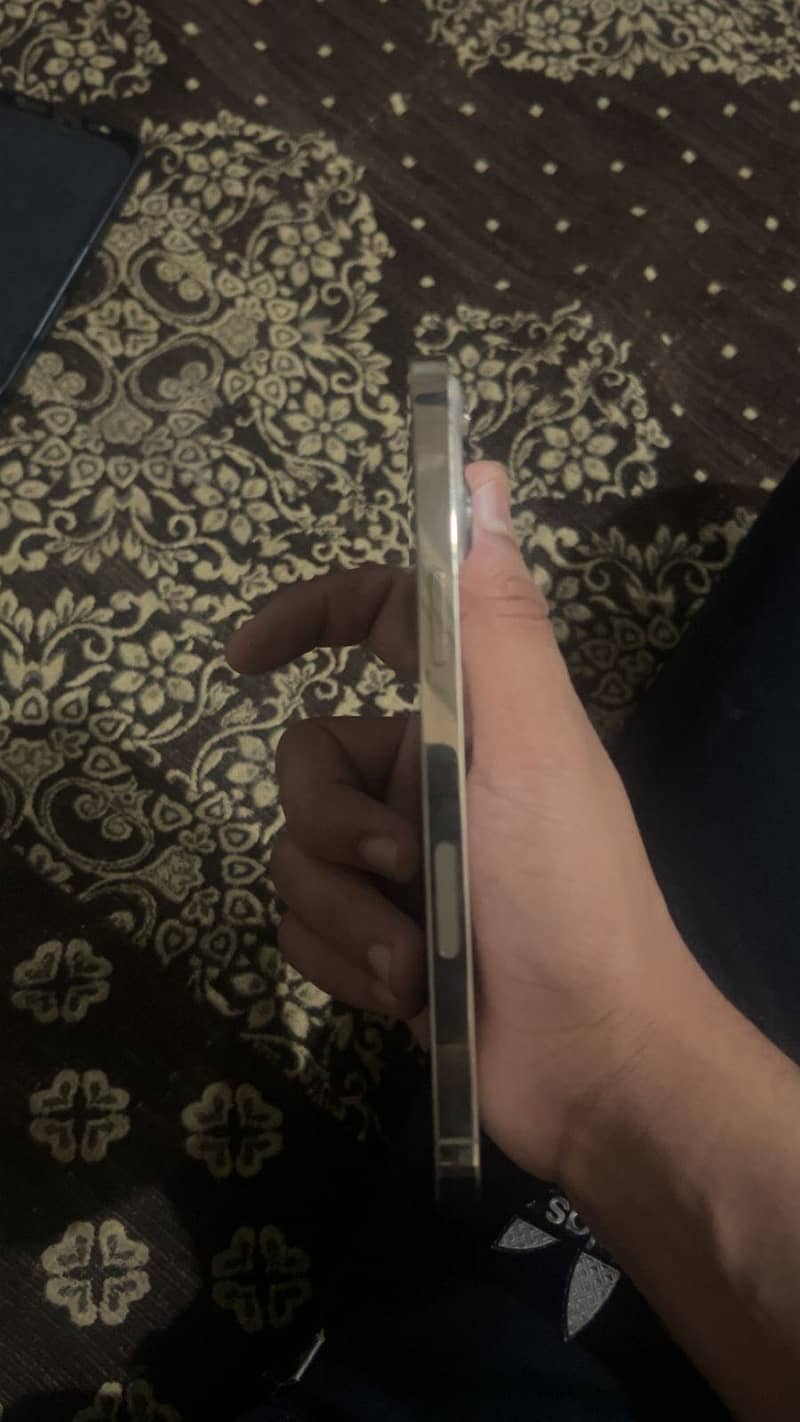 Apple iPhone 13 Pro Max 4