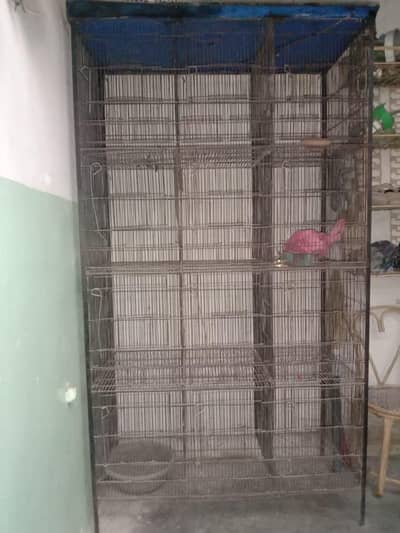 12 door cage