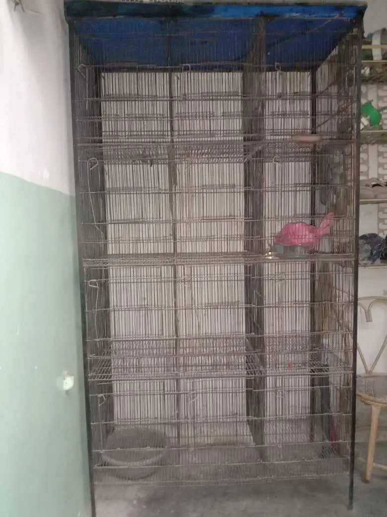 12 door cage