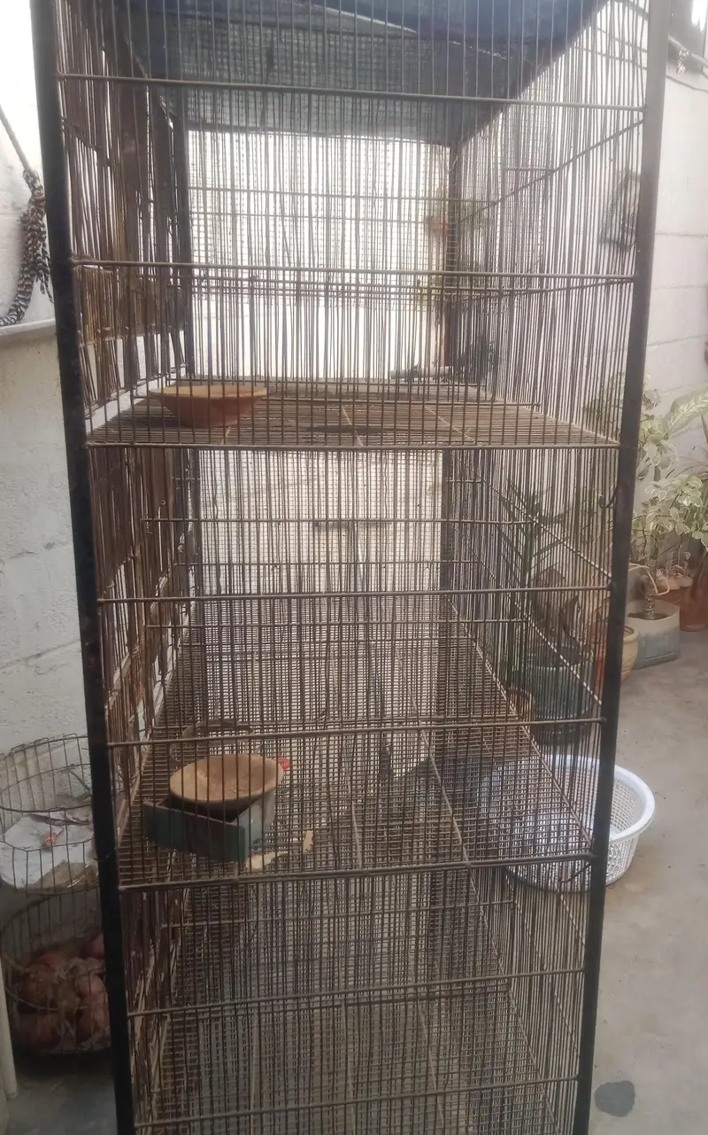 12 door cage — photo 2