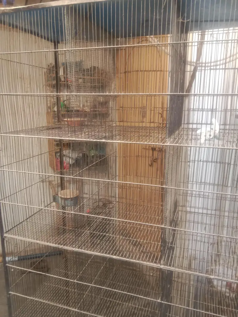 12 door cage — photo 3