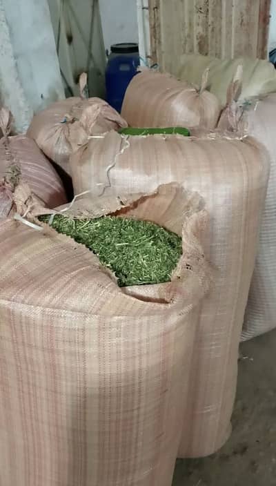 Dry loosan bakra or bakriyo ke liye / healthy feed / best qua