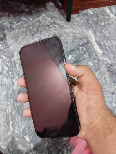 Apple iPhone 12 Pro Max