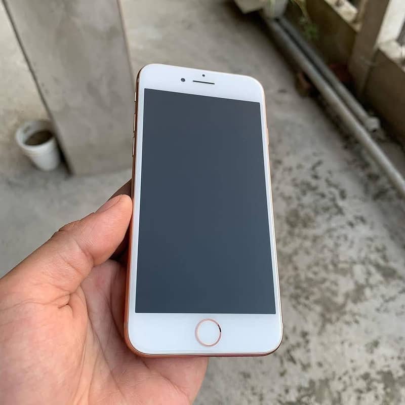 Apple iPhone 8 0
