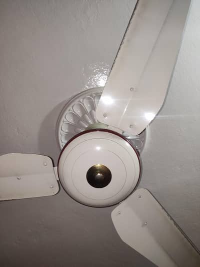 Four Star Copper Fan