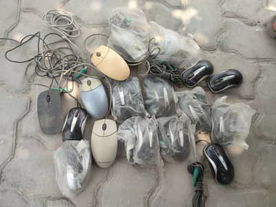 Mouse & Sound Card (PCI Dual Output)