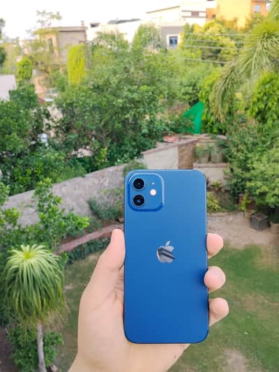 Apple iPhone 12