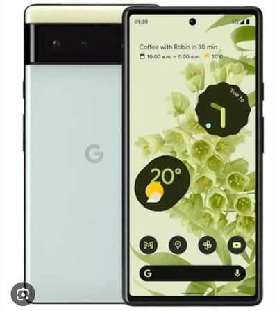 Google Pixel 6
