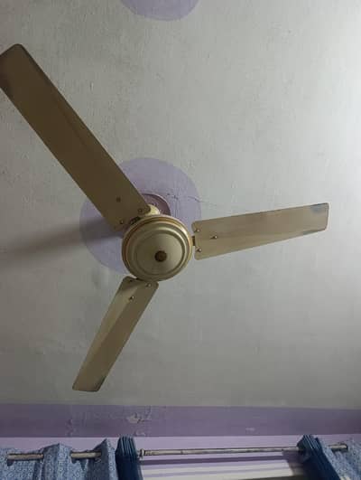 used fans