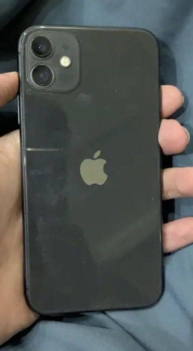 iPhone 11 0