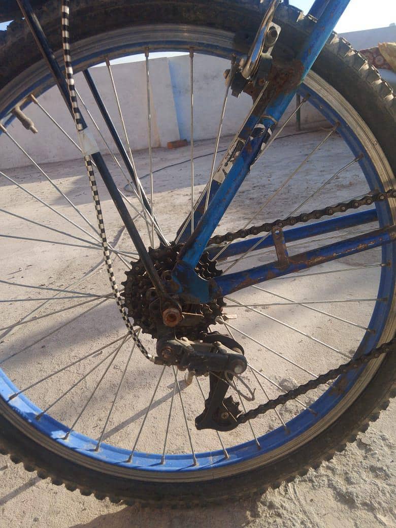 Bicycle 5