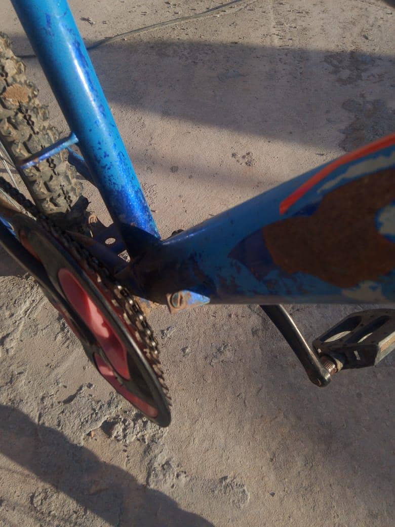 Bicycle 6