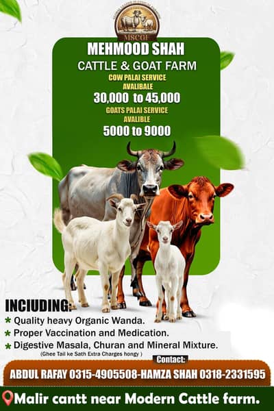 Palai Service Available