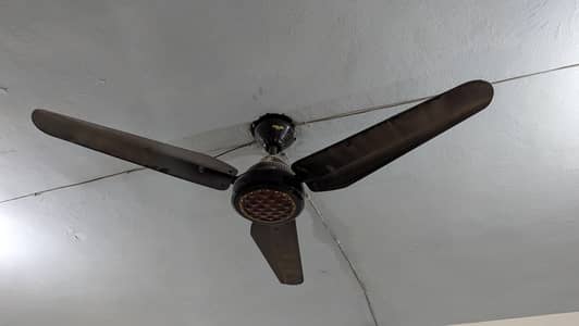 5 - fan sale at very low price.