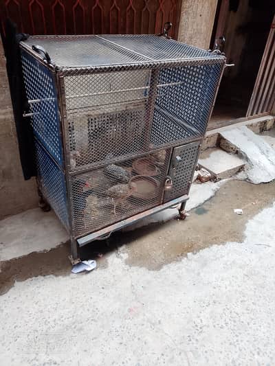 cage b