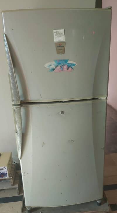 frige