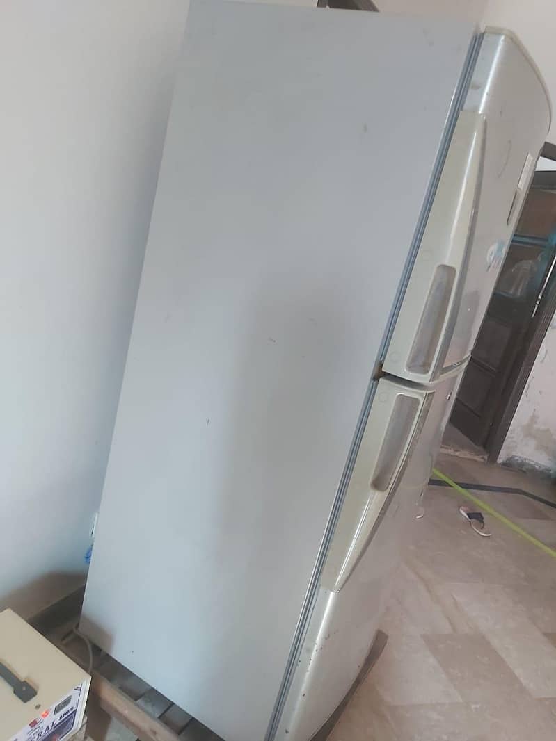frige 2