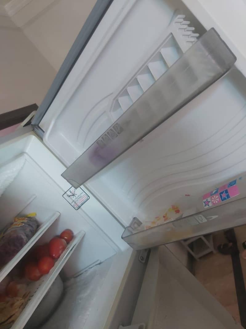 frige 4