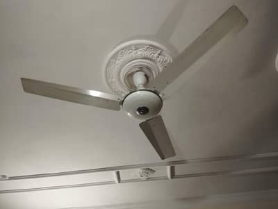 Ceiling Fan (Excellent condition)