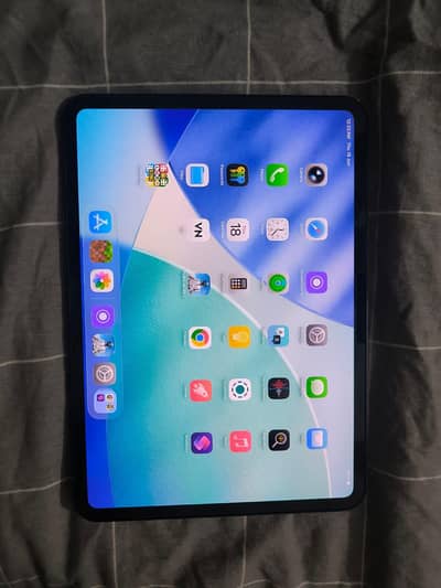 ipad pro M4 256 4 month warranty