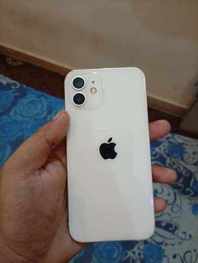 Apple iPhone 12 Non pta JV 64 GB 10/10 All ok