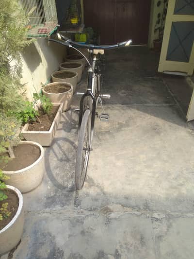 phonex cycle