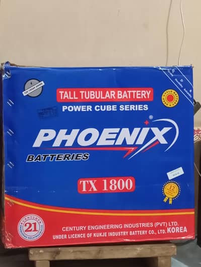 Brand New Phoenix 12V Battery