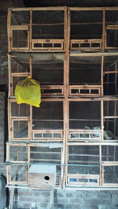Two cages urgent sale