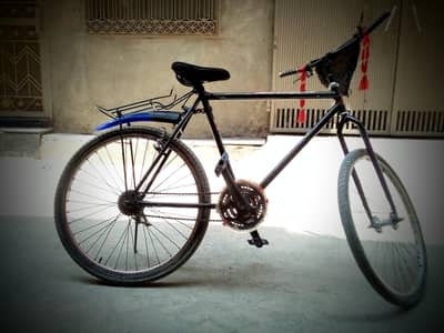phoenix cycle brand new