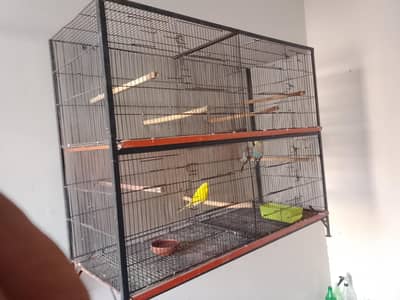 cage Available for sale reasonable price