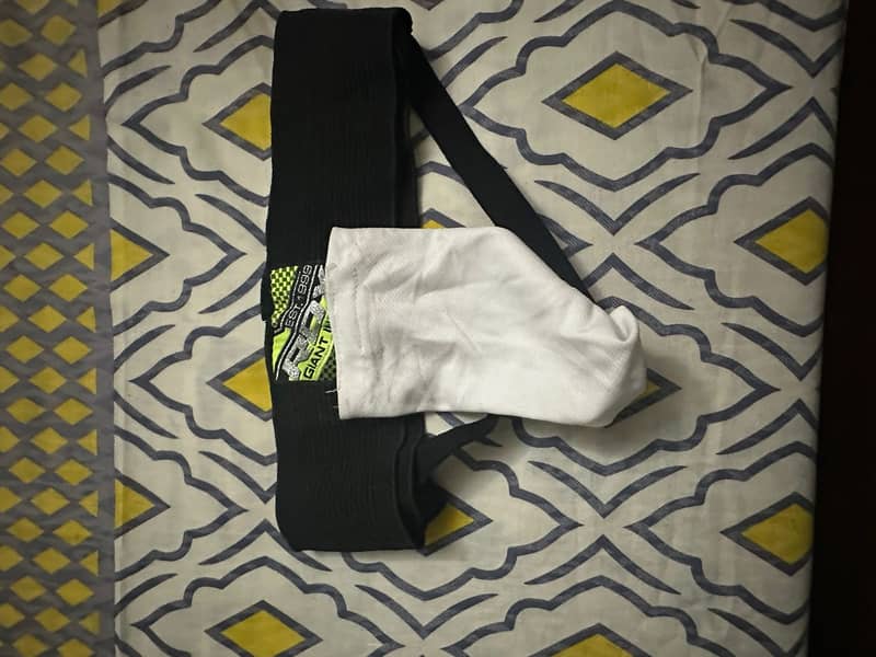 cricket kit 3