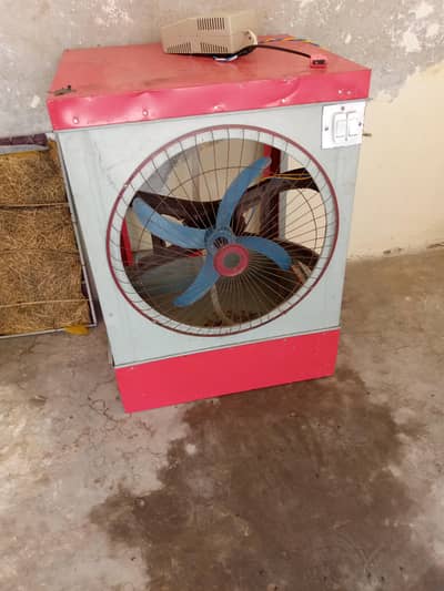 12 volt cooler