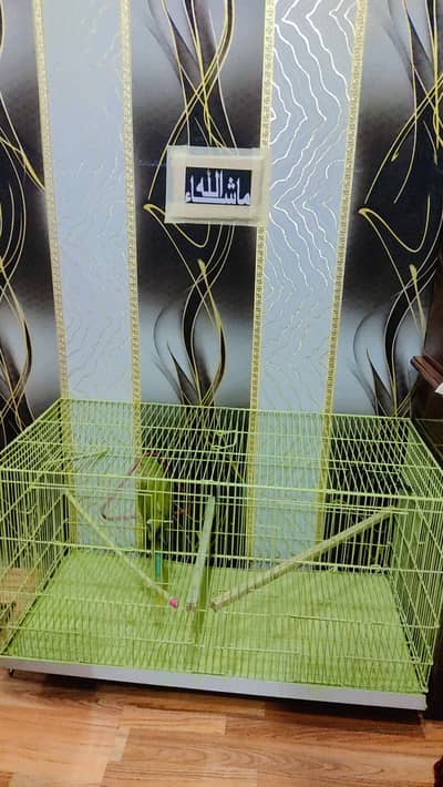 Bird cage