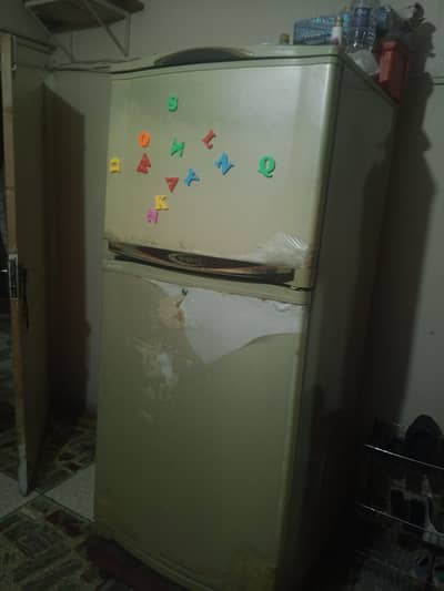 Waves Fridge Jumbo size for sale