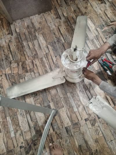 Ceiling fan