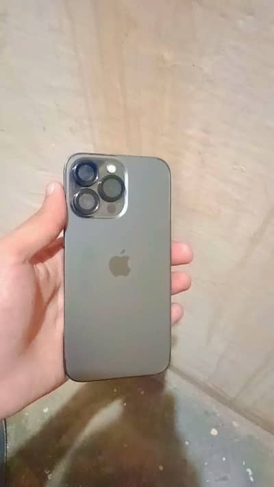 Iphone 13 pro dual pta approved