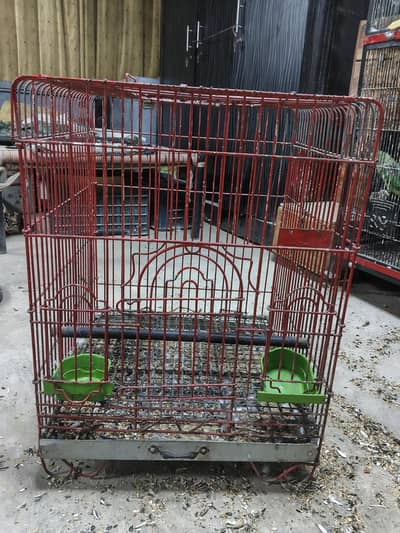 Medium Cage Size